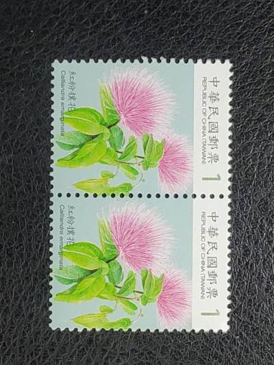 中外邮票封捡漏专场 - 中国台湾花卉邮票二枚