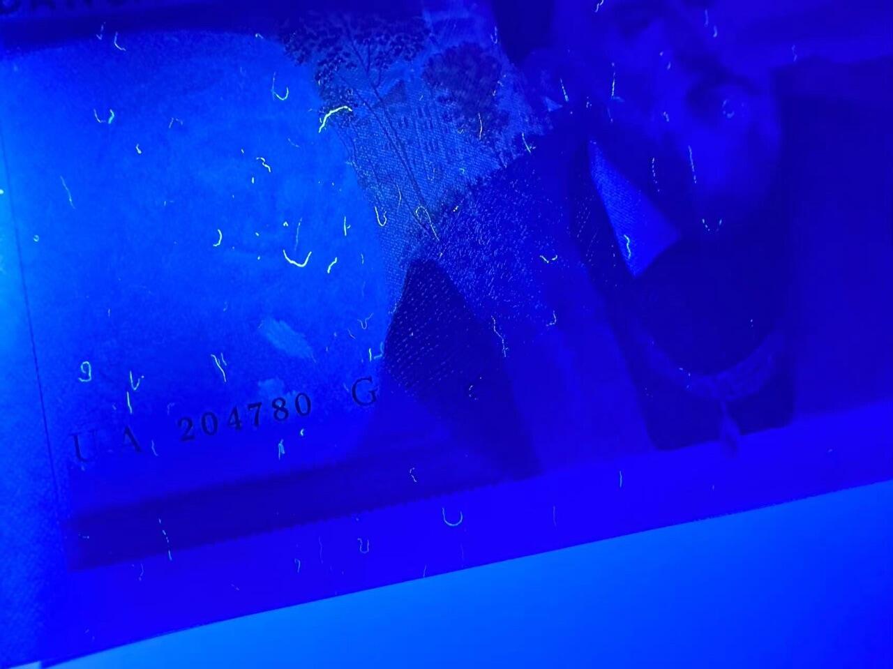 【Blue Auction】✨世界纸币精拍第475期【精】   意大利 1975年20000里拉 经典提香 UNC-