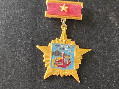 荷兰-泰兰勋赏制服拍卖 - 稀有事件章--越南Binh Ca地区海战胜利50年纪念章 早期与法国战斗 非常稀有的海战纪念 仅颁发给当年老兵和后勤人员以及55年后参战的海军人员