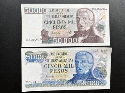 【DeJaVu】2024龙年第5场纸币拍卖 - 2枚阿根廷5000&50000比索钞票 外国纸币