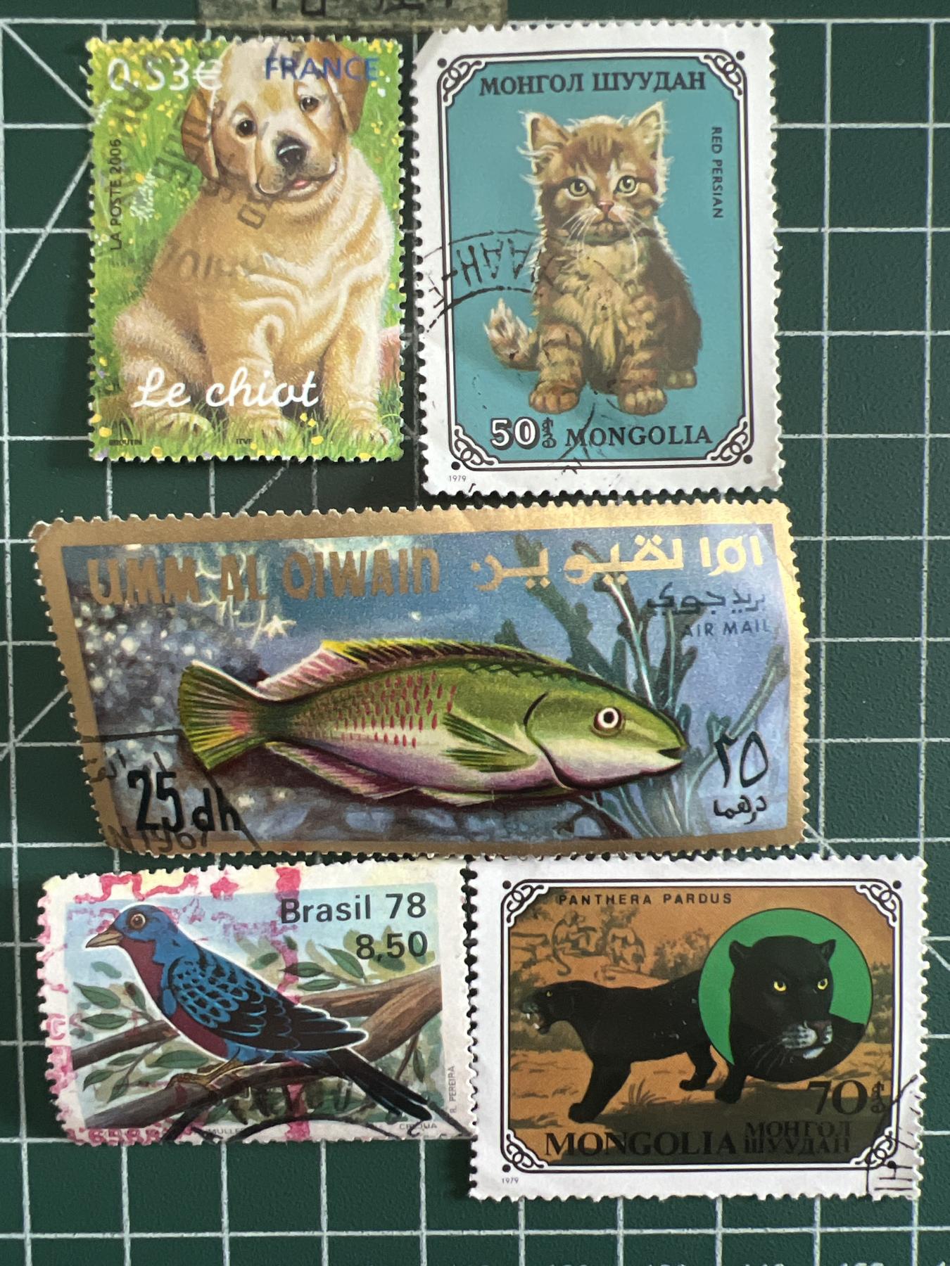 第601期 邮票专场 （无押金，捡漏，全场50包邮，偏远地区除外，接收代拍业务） 邮票5