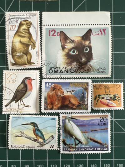 第601期 邮票专场 （无押金，捡漏，全场50包邮，偏远地区除外，接收代拍业务） - 邮票3