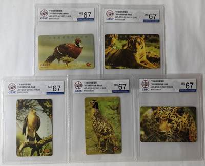 广东珍惜动物公博67 - 广东珍惜动物公博67