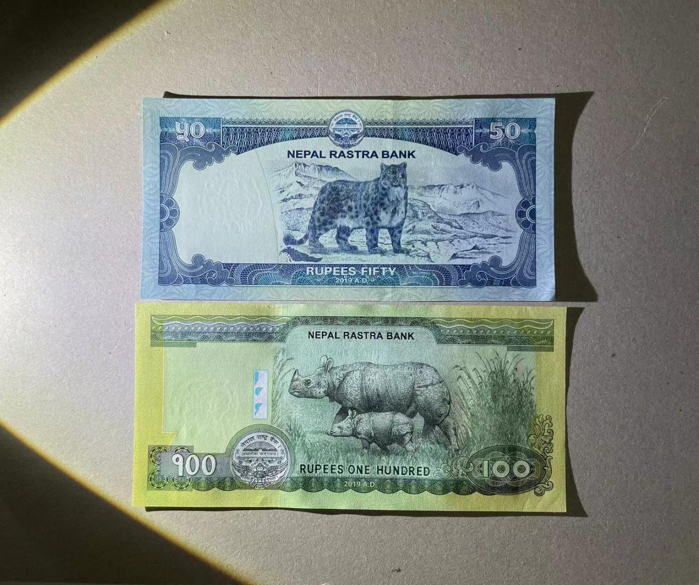 【Blue Auction】✨世界纸币精拍第477期——周日畅拍场 【一组2张 极小号2号】尼泊尔 2019年50-100卢比 全新UNC