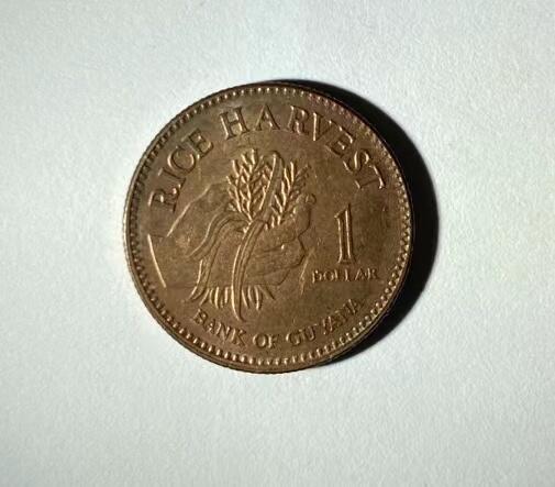 海外回流币1元起拍专场 圭亚那1元好品1枚