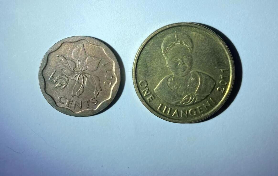 海外回流币1元起拍专场 斯威士兰1里兰吉尼和5分各一枚