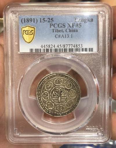 PCGS XF45 西藏久阿尼阿银币 - PCGS XF45 西藏久阿尼阿银币