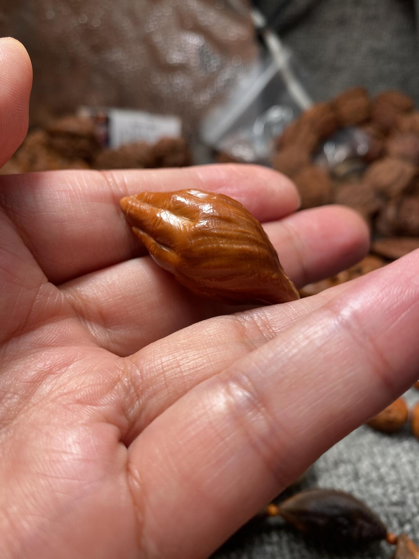 苏工核雕放漏价