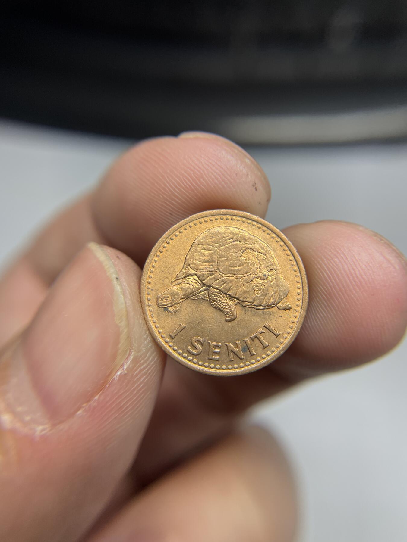 2024年集古藏今外币拍卖第七期-第2场—（总第62拍） 1968年汤加海龟一分