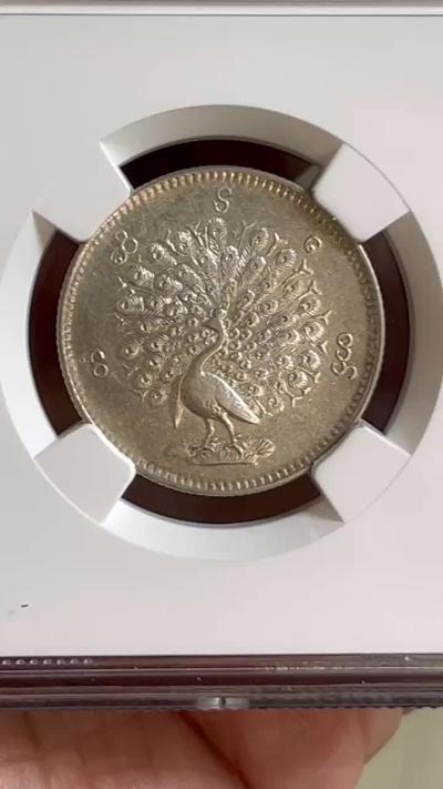 NGC-AUD 1852缅甸孔雀5MU银币 稀少面值 全毛带光