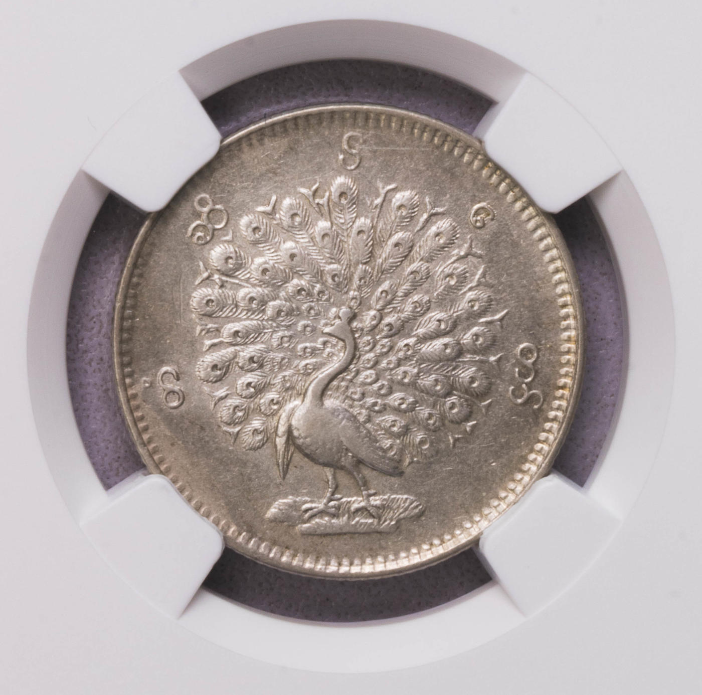 NGC-AUD 1852缅甸孔雀5MU银币 稀少面值 全毛带光