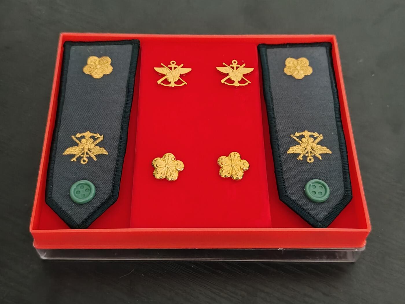 全场0元起拍 第158期 咸鱼国勋章拍卖专场 5月22日（周三）下午6：00开始 陆军 早期官星制 祝荣升政战少校肩章领花礼盒一套