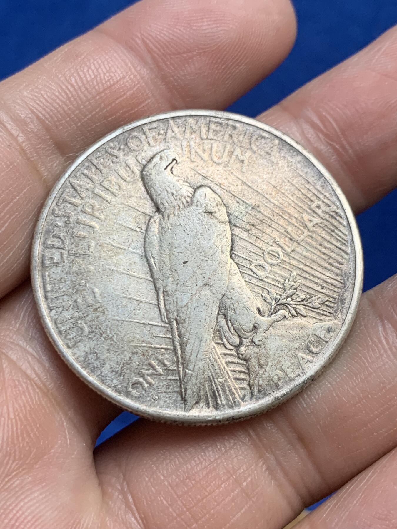 《竞宝斋》第269场- 周日，周一，周二  3场连拍 （全场包邮） 1926年 美国和平鸽一圆银币