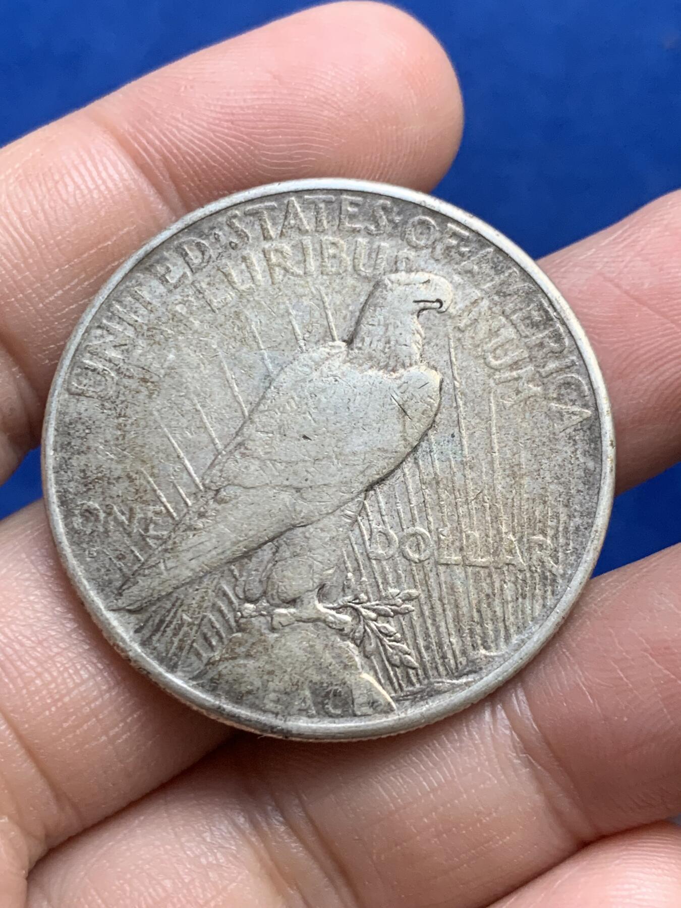 《竞宝斋》第269场- 周日，周一，周二  3场连拍 （全场包邮） 1926年 美国和平鸽一圆银币