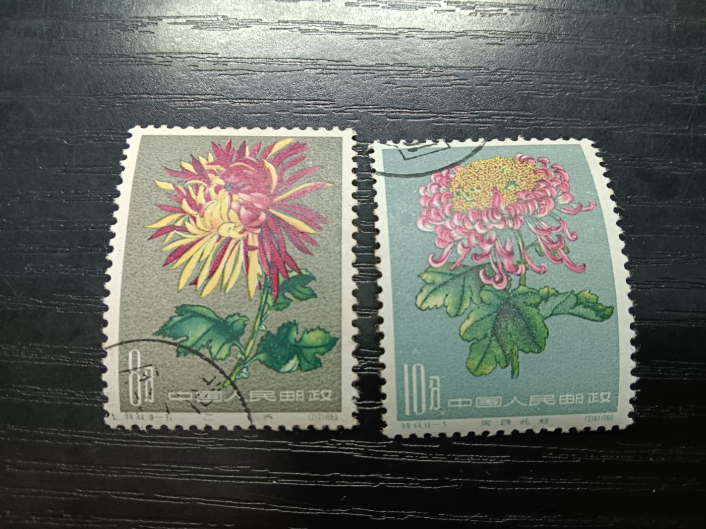 博彦收藏5月28日邮票专场 特44菊花 盖销2枚 原胶背贴 中上品