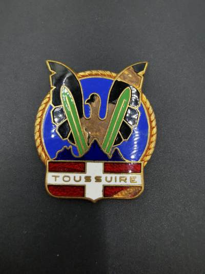 老王徽章第四十期 - 法国空军证章   背杆损坏