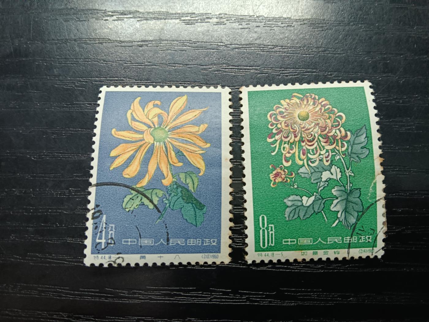 博彦收藏5月28日邮票专场 特44菊花盖销2枚 原胶背贴，上品