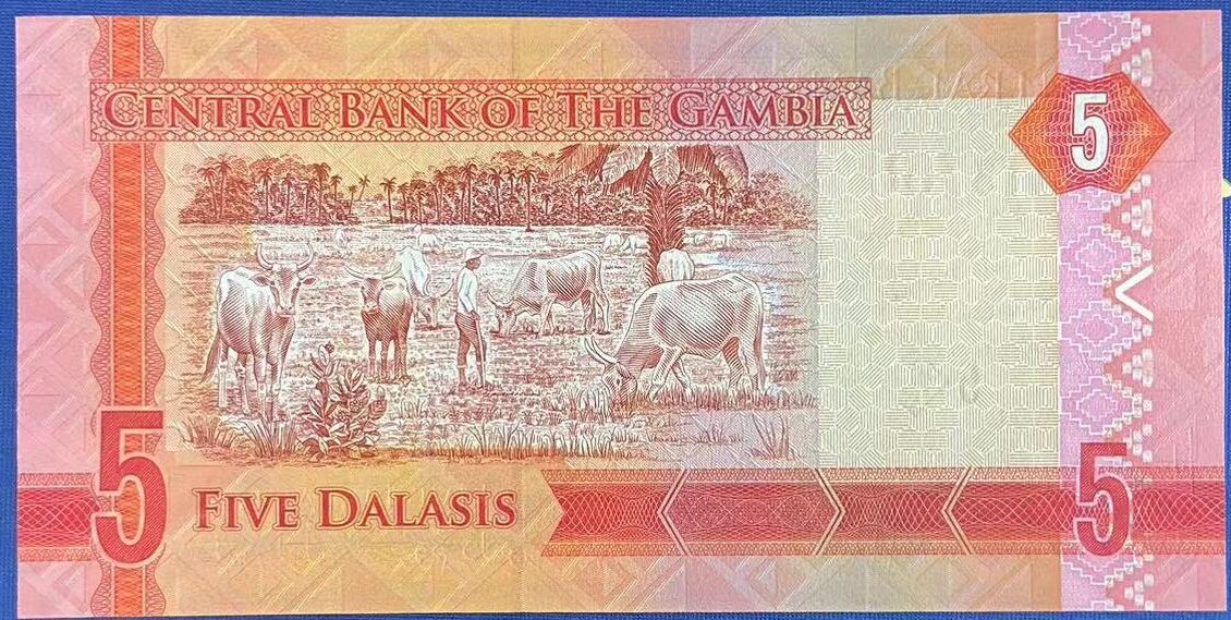 【炜奕收藏】世界精选纸币裸钞专场 2015年冈比亚5达拉西，UNC品相，尾58