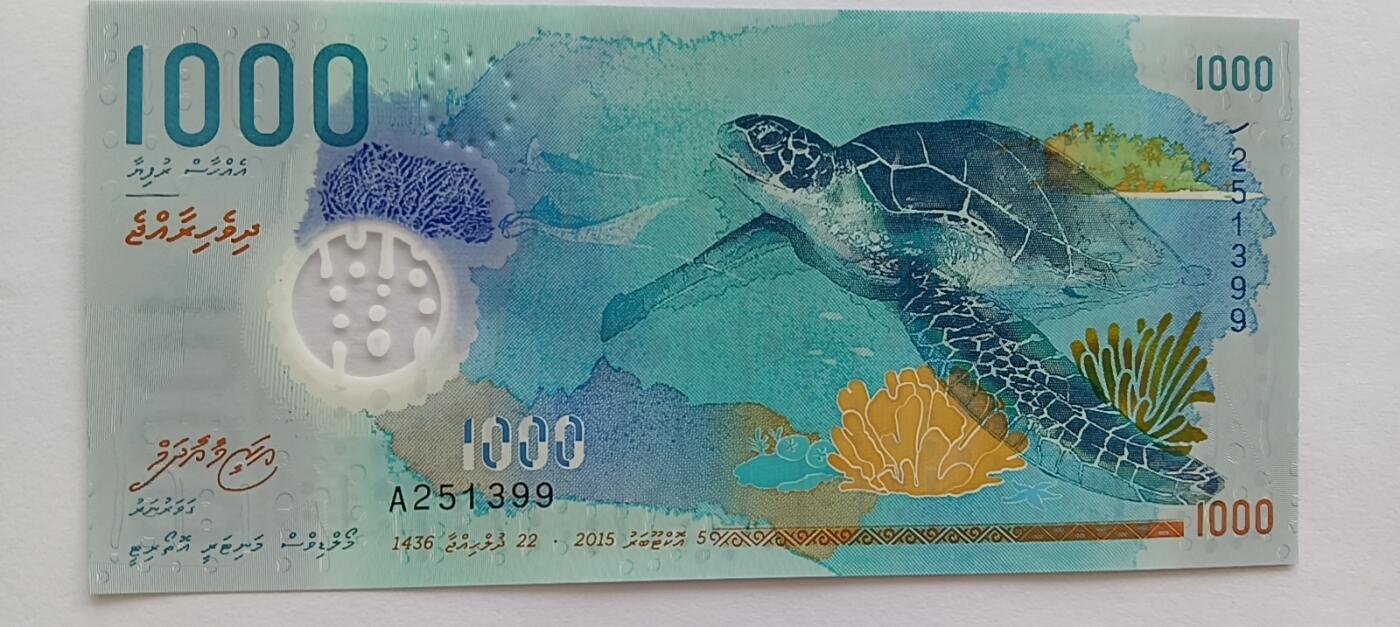 精品钱币第29场 全新unc马尔代夫1000大海龟