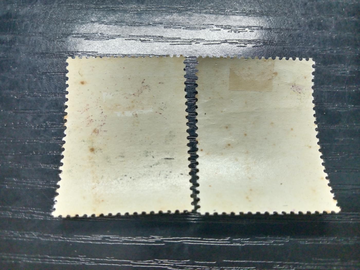博彦收藏5月28日邮票专场 特44菊花 盖销2枚 原胶背贴 中上品