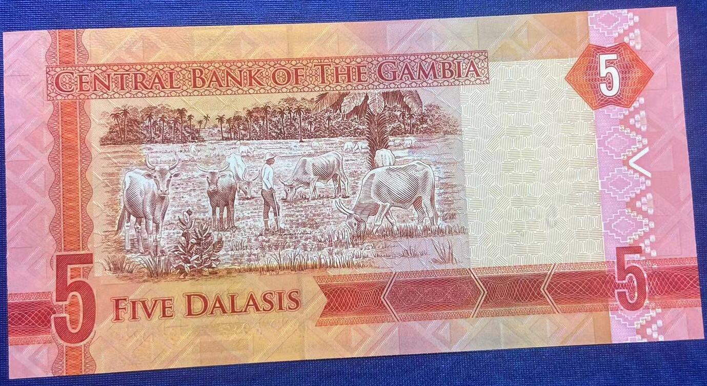 【炜奕收藏】世界精选纸币裸钞专场 2015年冈比亚5达拉西，UNC品相，尾58