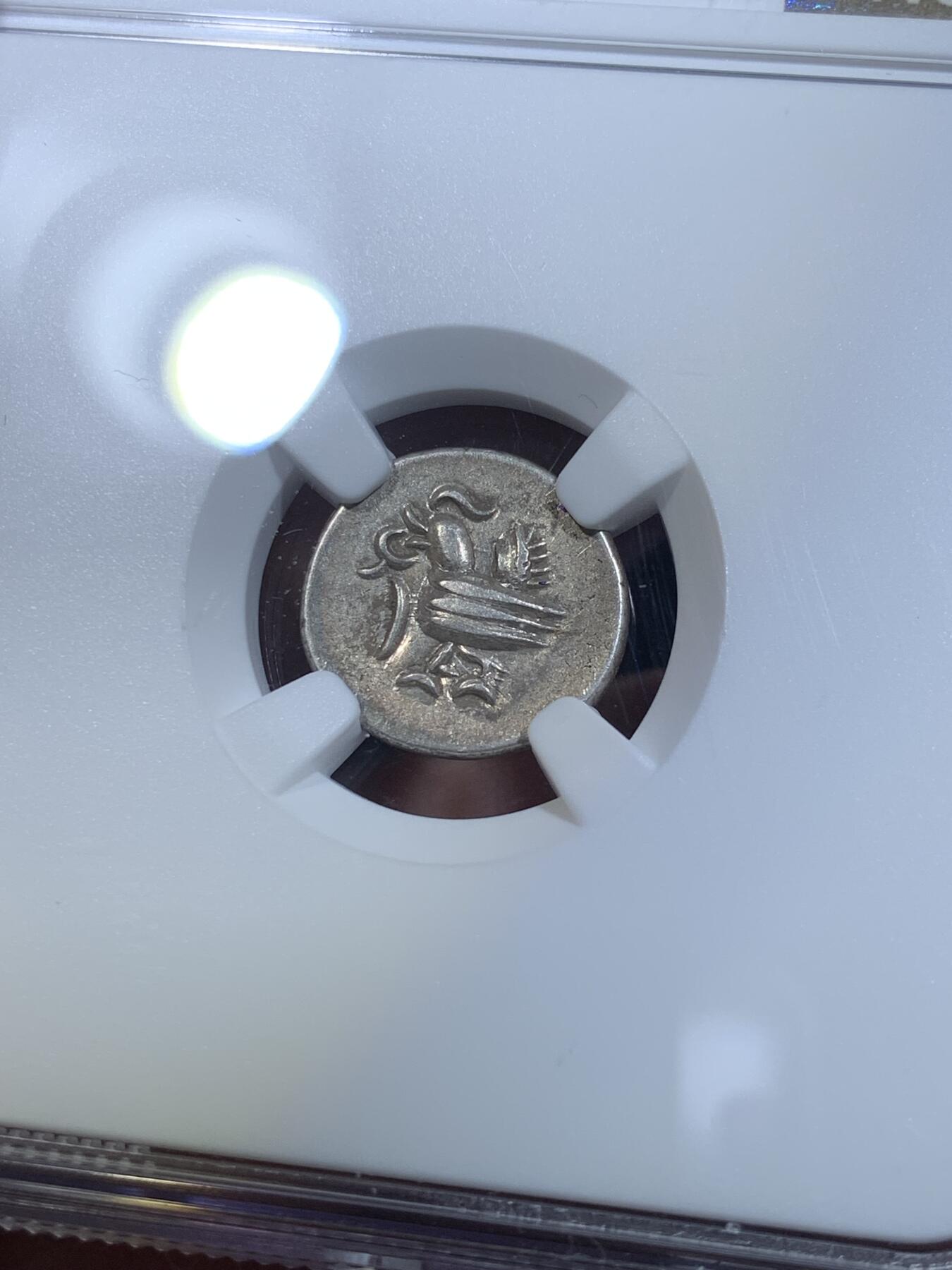 《竞宝斋》第269场- 周日，周一，周二  3场连拍 （全场包邮） NGC AUD 柬埔寨小鸟银币