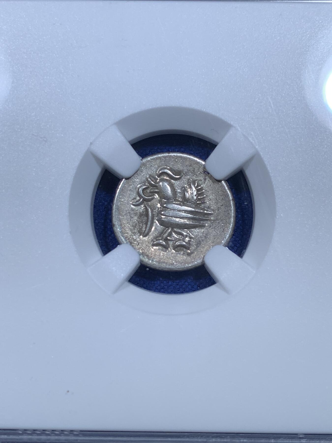 《竞宝斋》第269场- 周日，周一，周二  3场连拍 （全场包邮） NGC AUD 柬埔寨小鸟银币