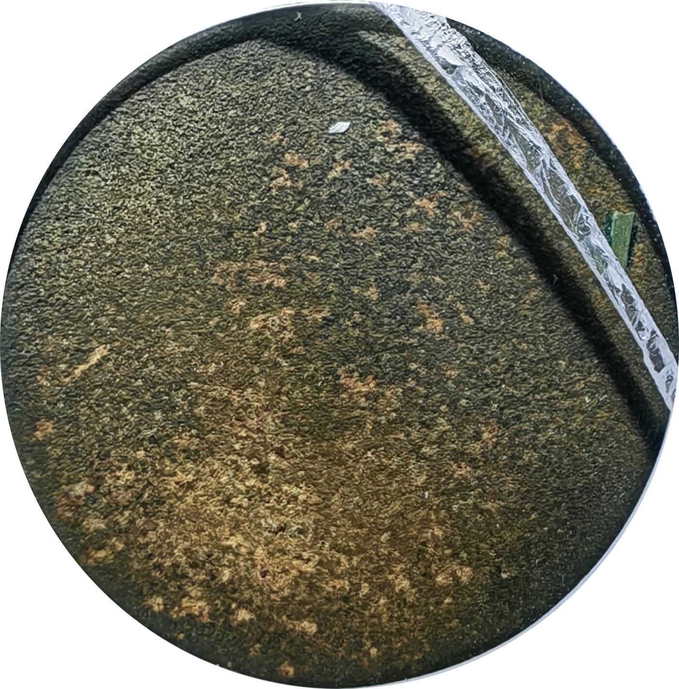 恩福第2024年春季拍卖 清·金钱代著花钱
18.3*2.5mm，4.8g
GBCA/美 75    111786374