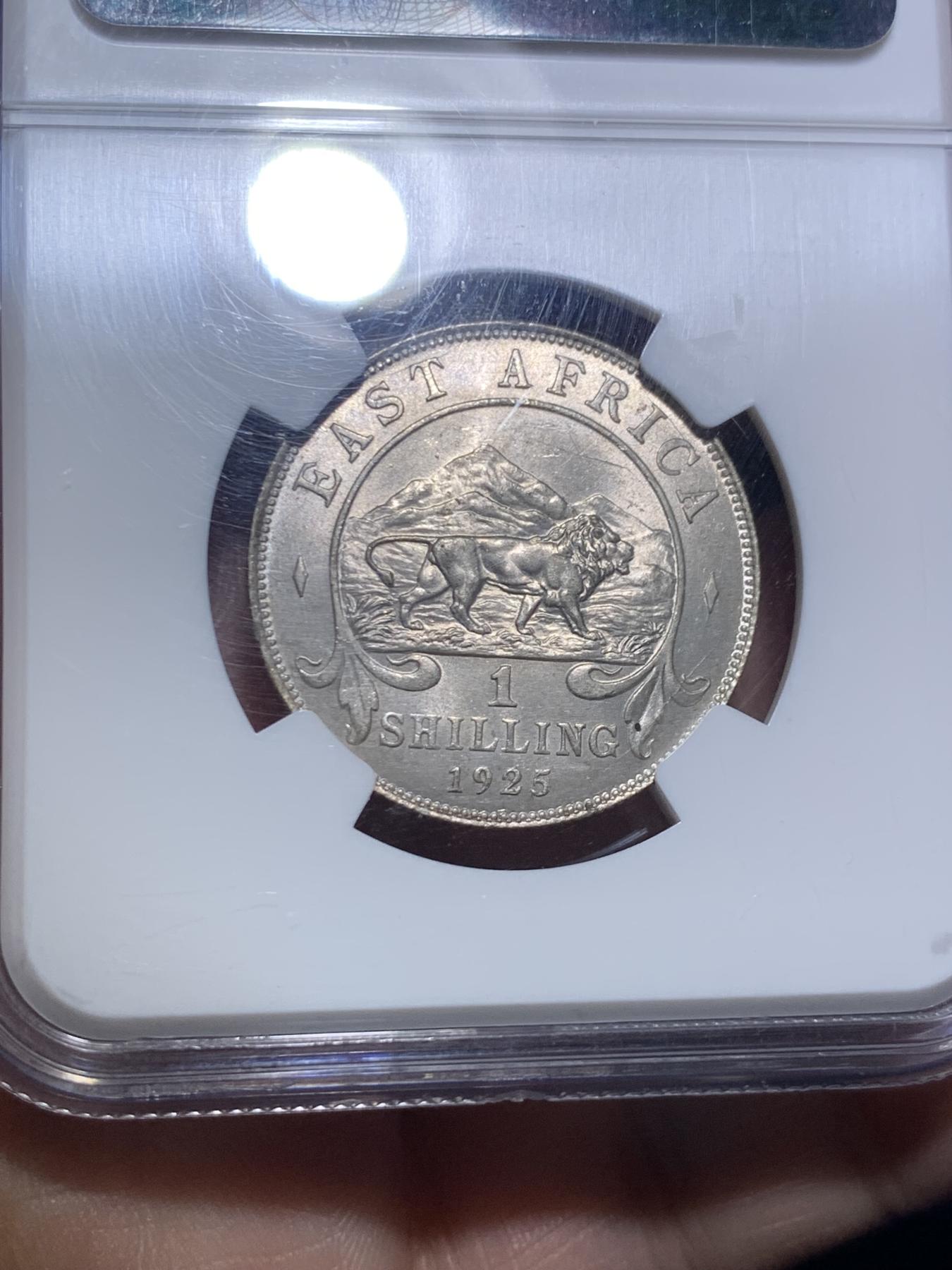 《竞宝斋》第270场- 周日，周一，周二  3场连拍 （全场包邮） NGC MS63 英属东非1925年乔治五世1先令银币 狮子打制的栩栩如生