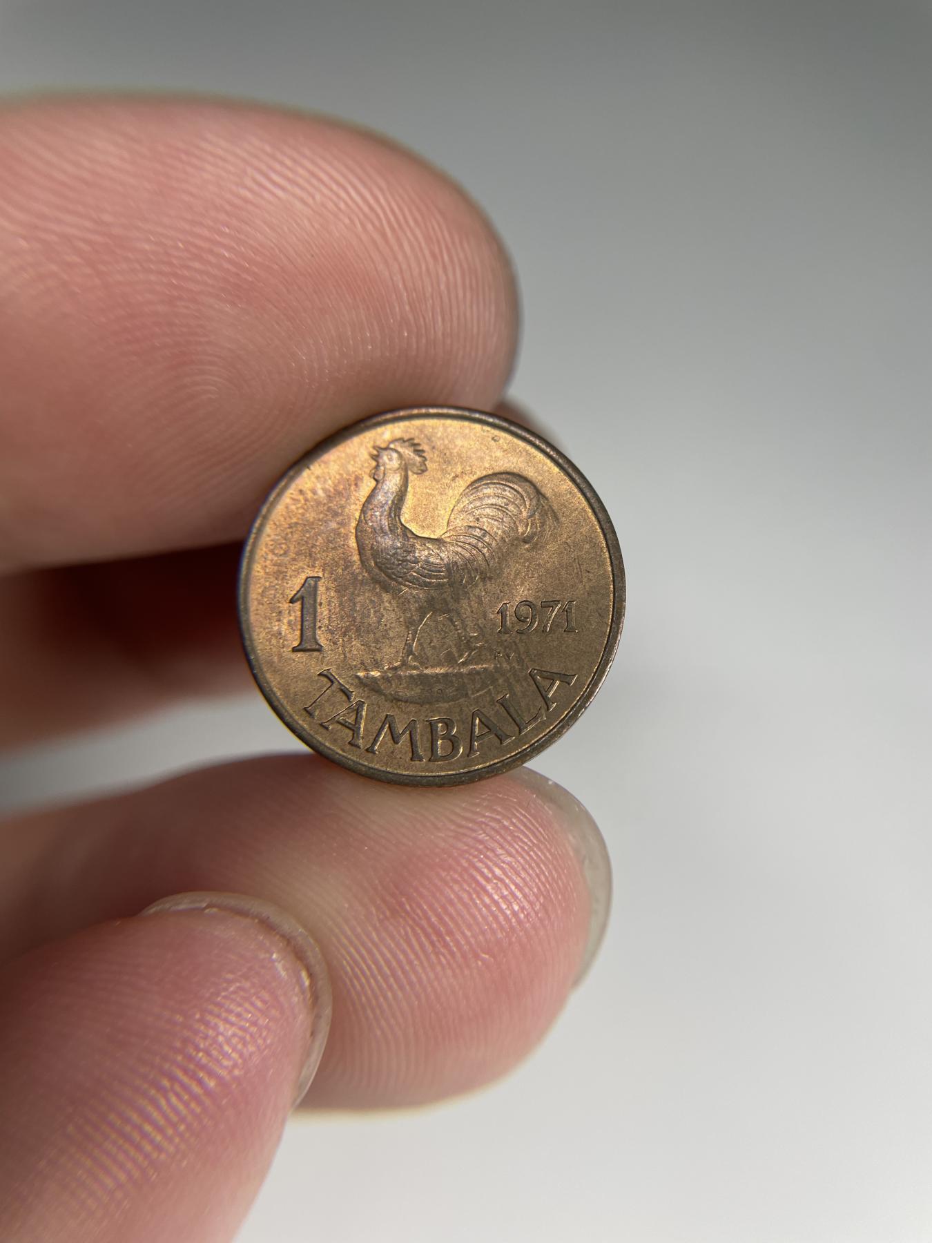 2024年集古藏今外币拍卖第七期-第5场—（总第65拍） 1971年马拉维1坦巴拉