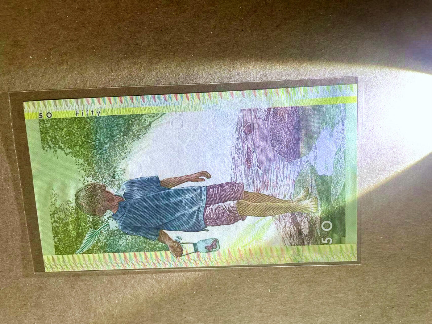 【Blue Auction】✨世界纸币精拍第479期【精】  【5号小号】德纳罗 翠鸟 测试钞 设计精美 全新UNC