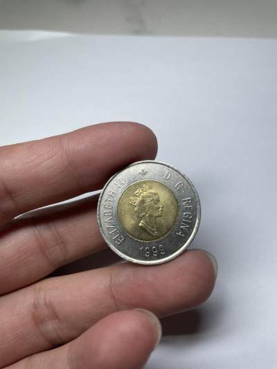 2024年集古藏今外币拍卖第七期-第6场—（总第66拍） - 1999年加拿大2元