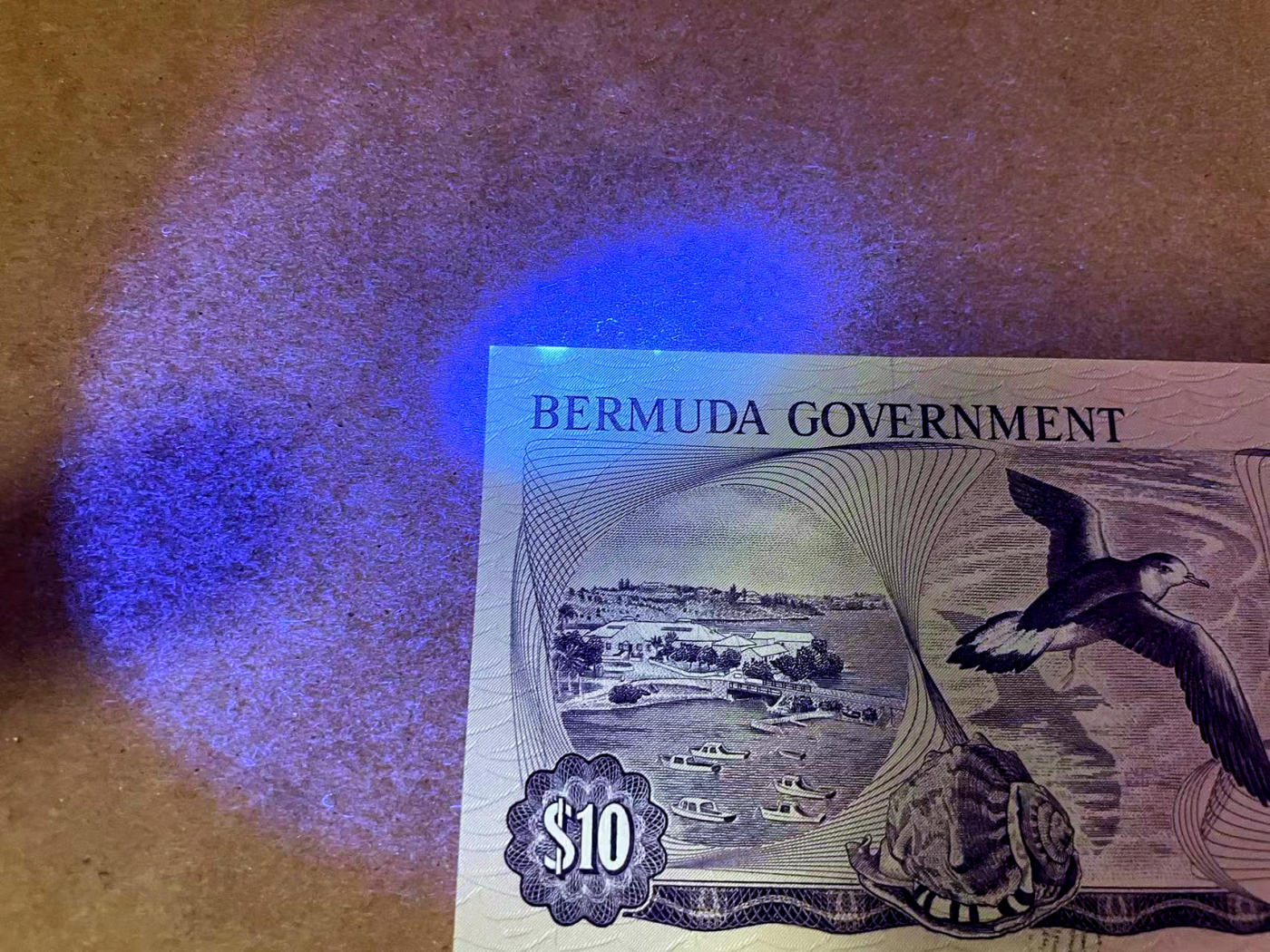 【Blue Auction】✨世界纸币精拍第480期【精】 【一组2张】新西兰 花冠女王2元 UNC&百慕大 A/1首发冠789顺子号 高冠女王 UNC-