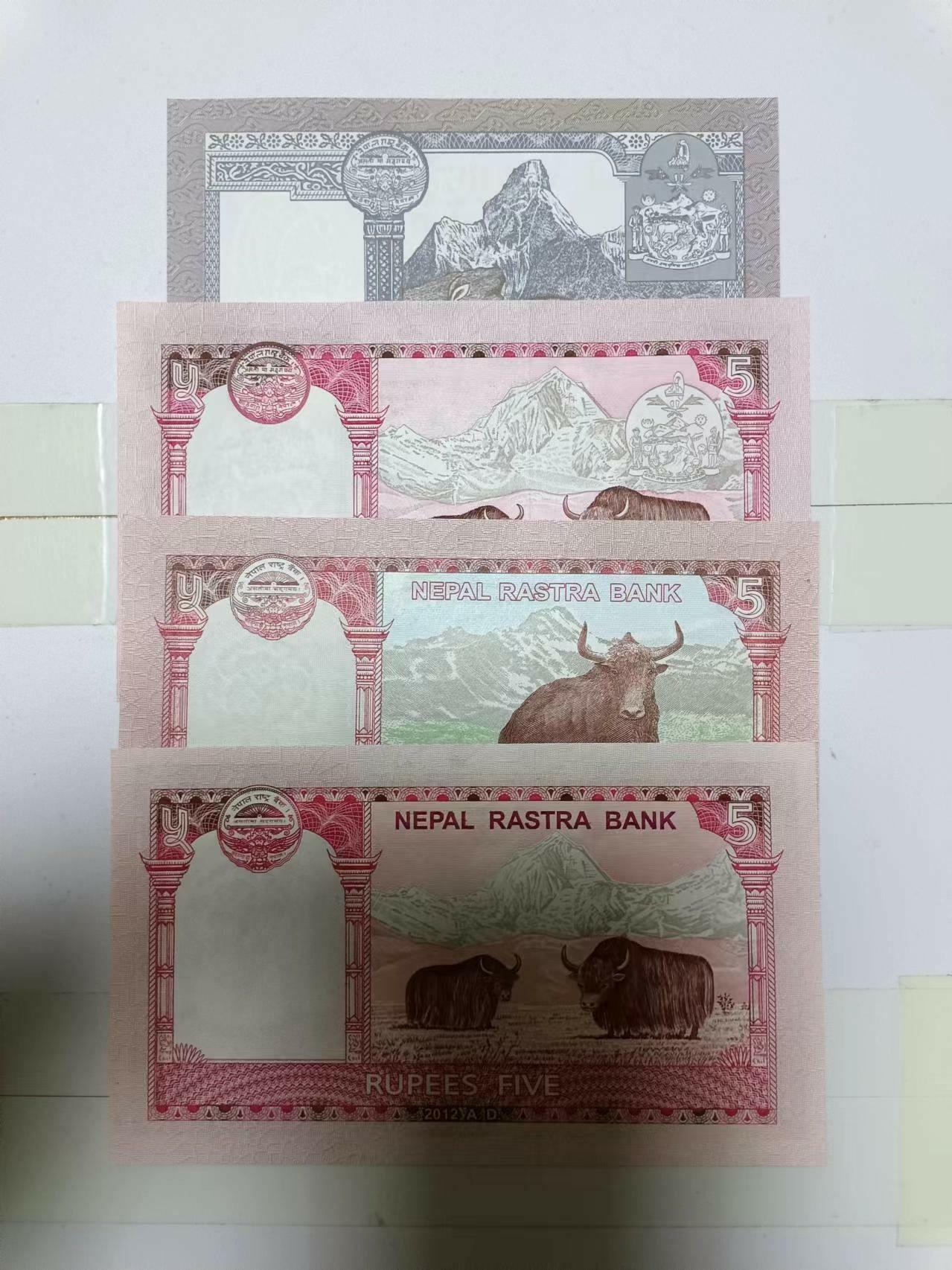 尼泊尔4张纸币各为不同版本，全新