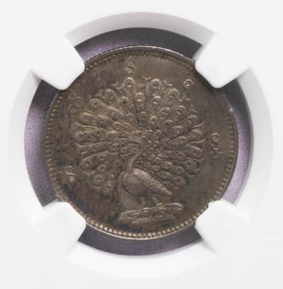 NGC-AU55 1852缅甸孔雀5MU银币味道一流全毛老包浆 - NGC-AU55 1852缅甸孔雀5MU银币味道一流全毛老包浆