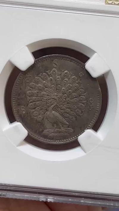 NGC-AU55 1852缅甸孔雀5MU银币味道一流全毛老包浆