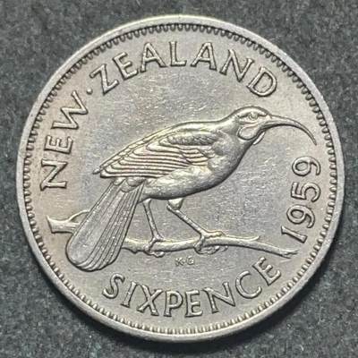 20240704 北岛垂耳鸦 新西兰6便士精制镍铜硬币19mm 2.8g 年份随机