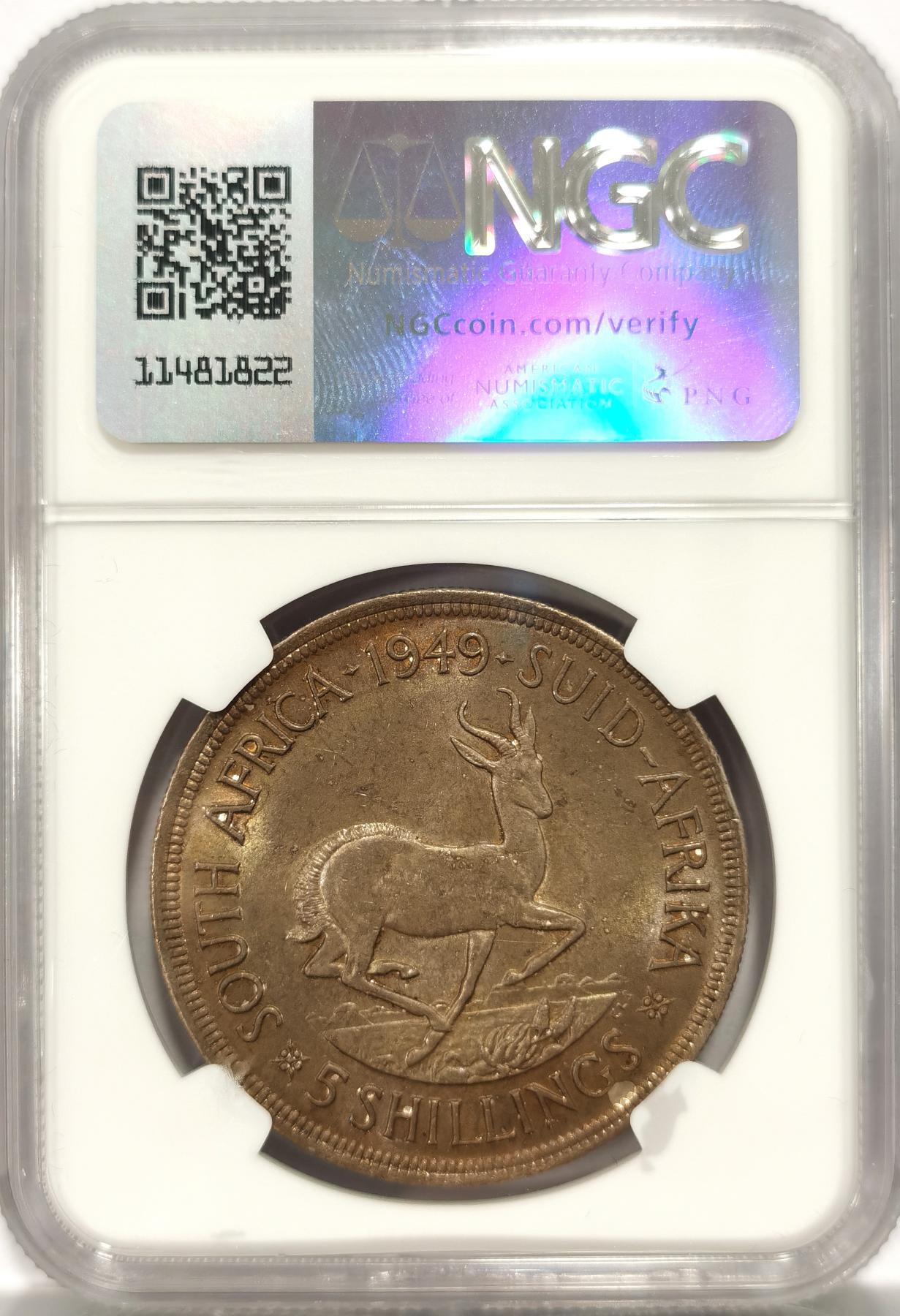 博洋堂世界钱币拍卖第078期（全场包邮） NGC MS63 英属南非1949年乔治六世5先令银币，极美黄油彩