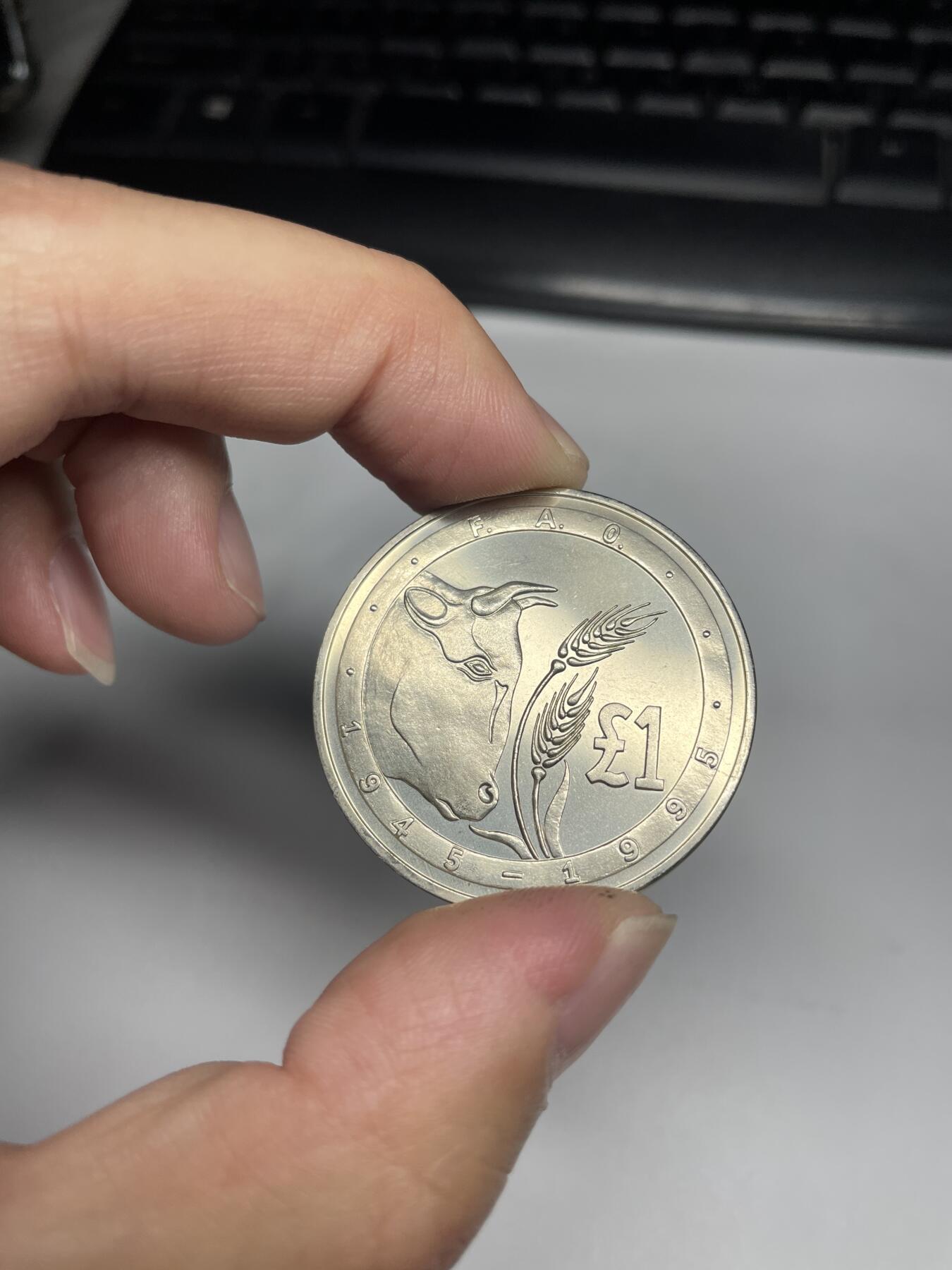 2024年集古藏今外币拍卖第七期-第9场—（总第69拍） 1995年塞浦路斯1镑