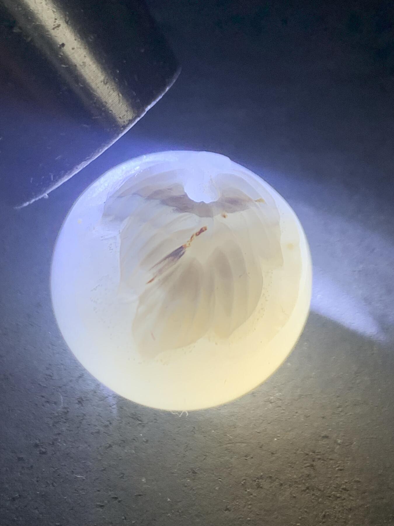 精美高玉化亚光海洋玉髓手工俏色巧雕树叶随形2.0圆珠一个！寓意：大业有成