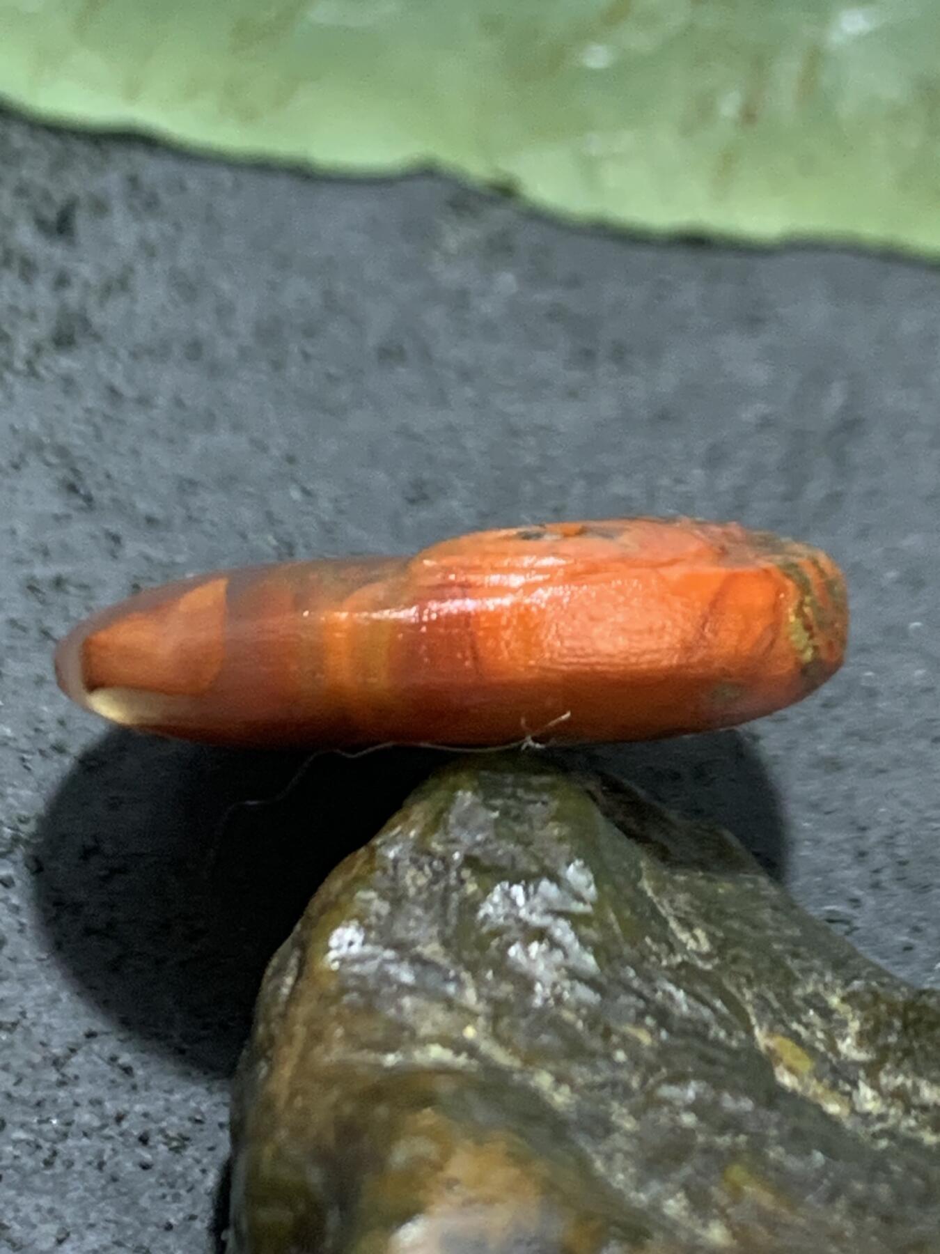 精美亚光草花纹战国红玛瑙手工俏色巧雕红龙鱼吊坠一个