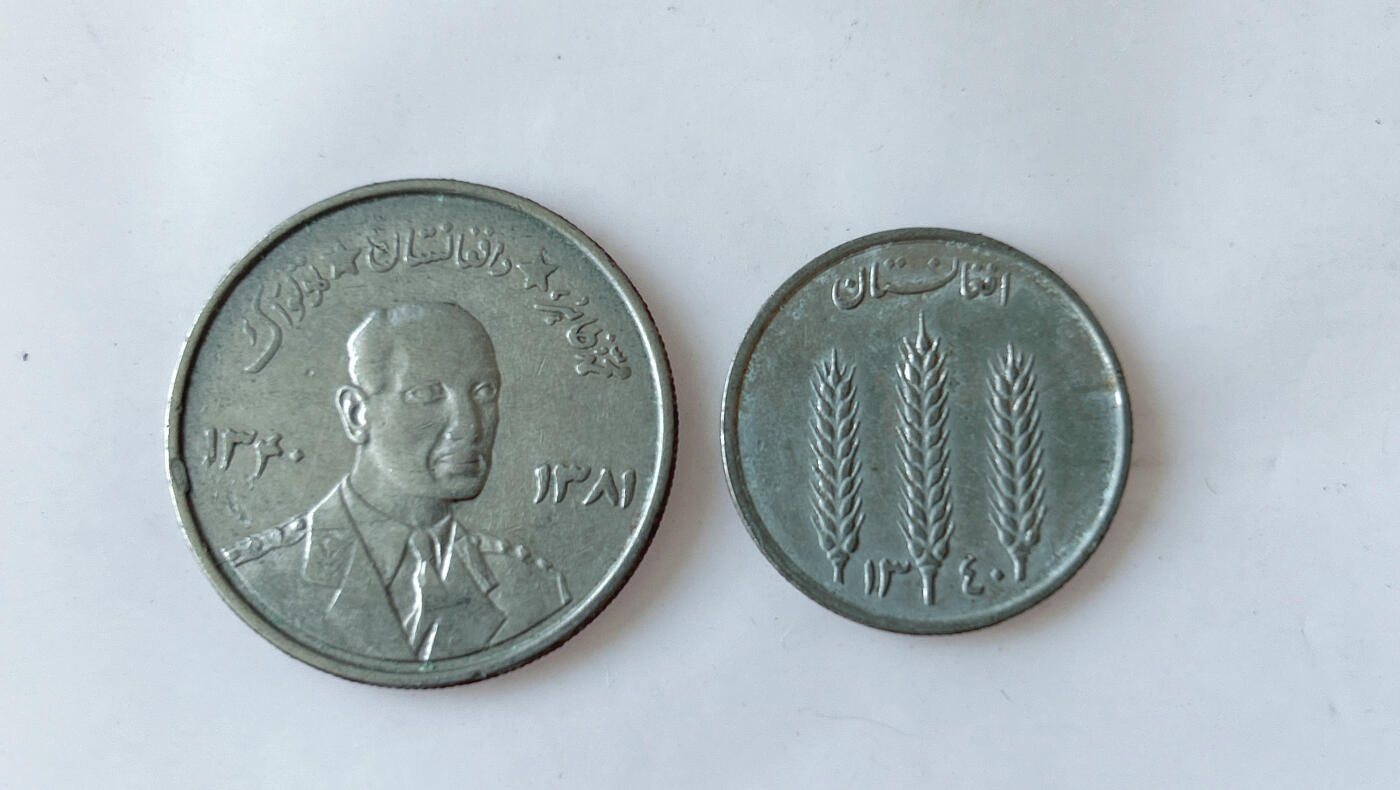 第一海外回流一元起拍收藏 散币专场 第91期 阿富汗硬币2枚