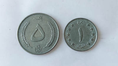 第一海外回流一元起拍收藏 散币专场 第91期 - 阿富汗硬币2枚