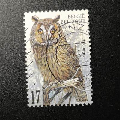 ↓君缘收藏103期☞钱币邮品↓无佣金、可寄存、满10元包邮  - 比利时邮票，1999年 欧洲丛林猫头鹰