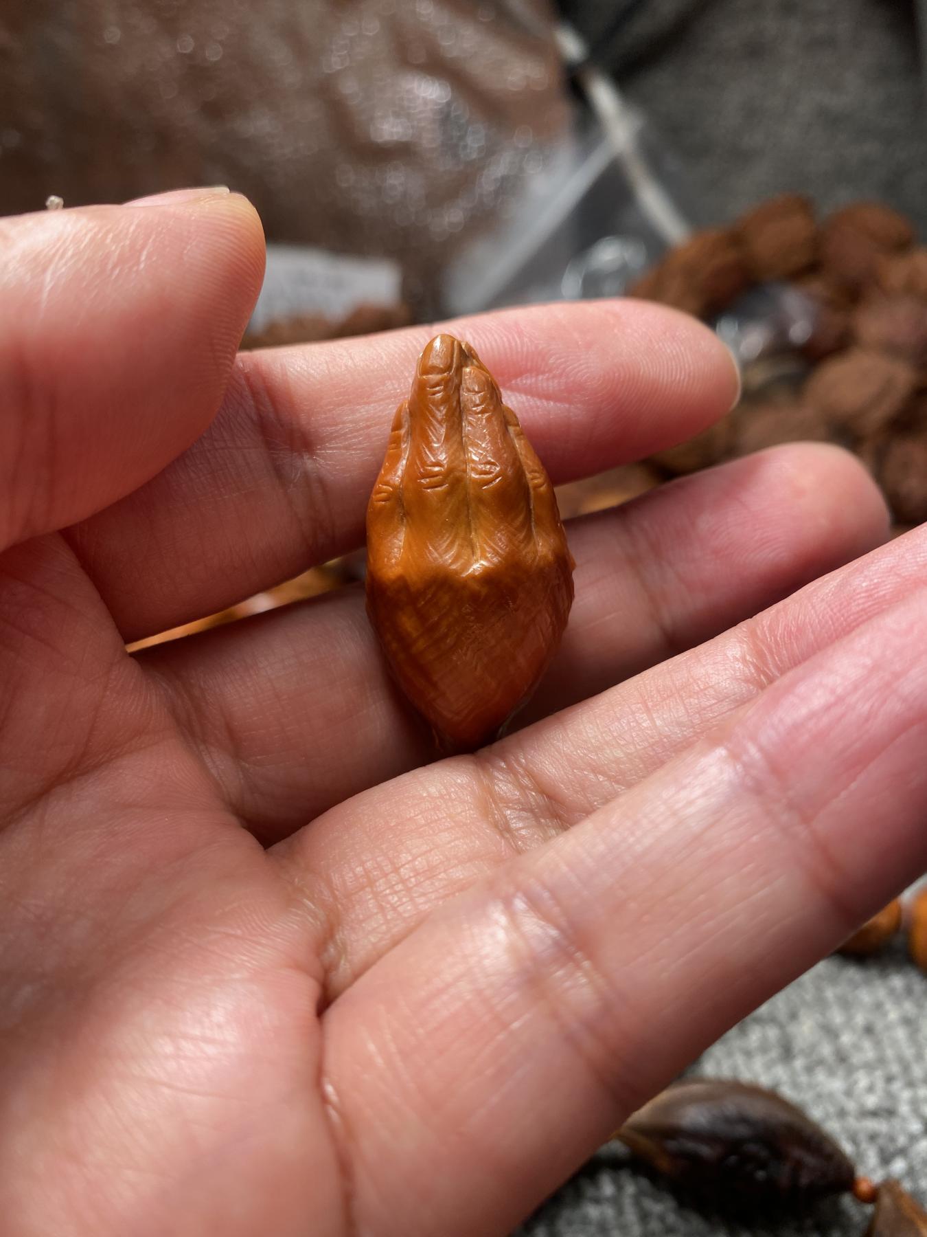 苏工手工核雕工作室 苏工核雕纯手工个性作品，掌中宝之手里有钱，个性十足，非通货，老苏工留刀痕，喜欢的来尺寸2。0x4。25