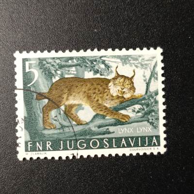 ↓君缘收藏103期☞钱币邮品↓无佣金、可寄存、满10元包邮  - 南斯拉夫邮票，1954年 野生动物 猞猁