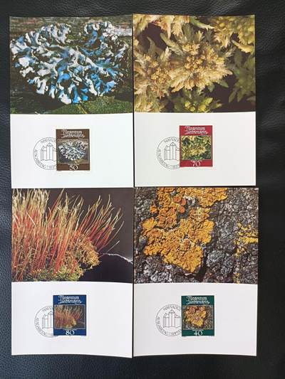 ①列支敦士登邮票  1981年苔藓植物和地衣 极限片4全 - ①列支敦士登邮票  1981年苔藓植物和地衣 极限片4全