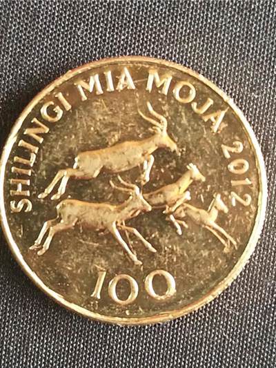 坦桑尼亚100先令 年份随机 24.5mm - 坦桑尼亚100先令 年份随机 24.5mm