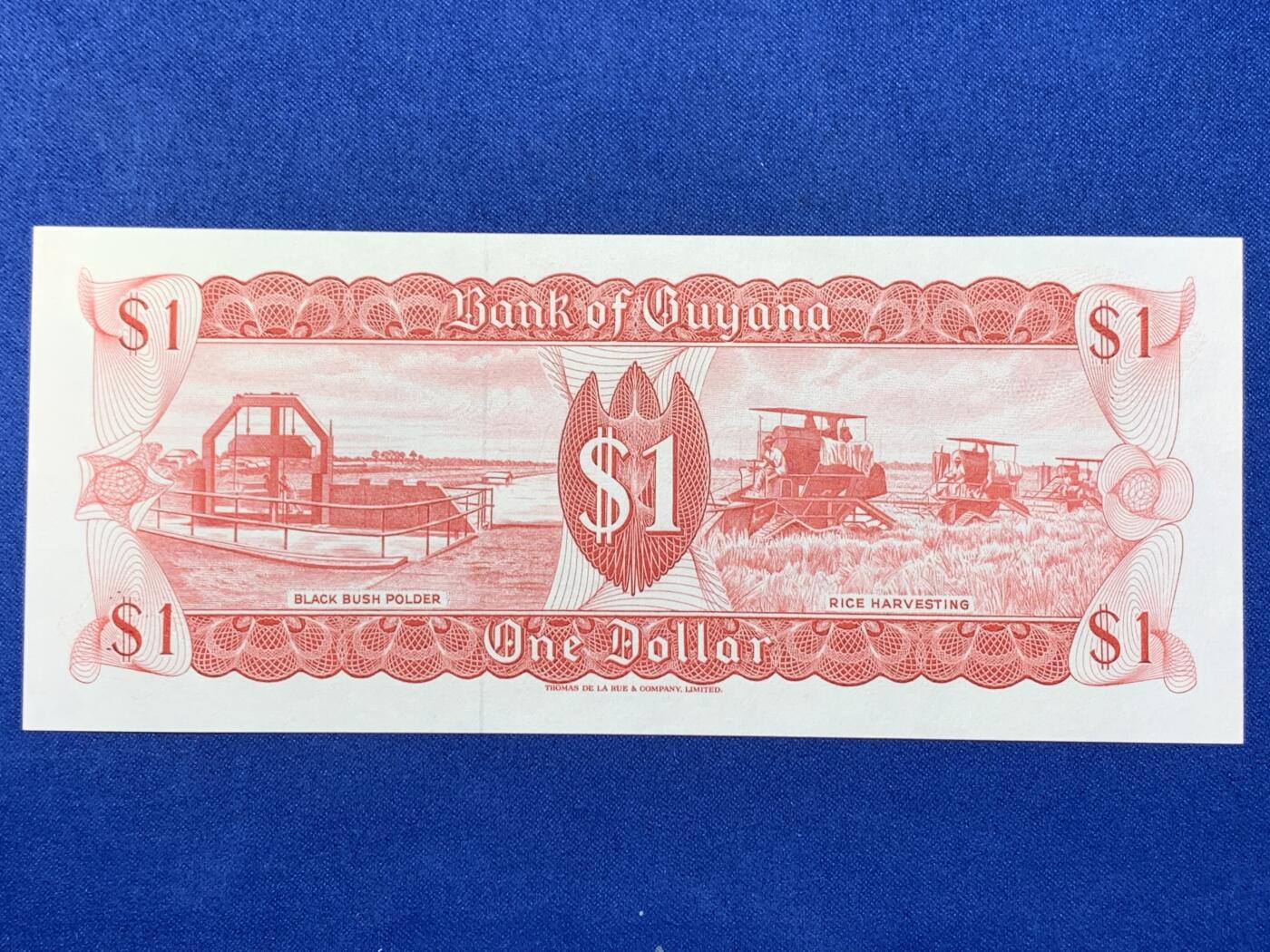 《竞宝斋》第274场- 周日，周一，周二  3场连拍 （全场包邮） 圭亚那1元纸币 老版