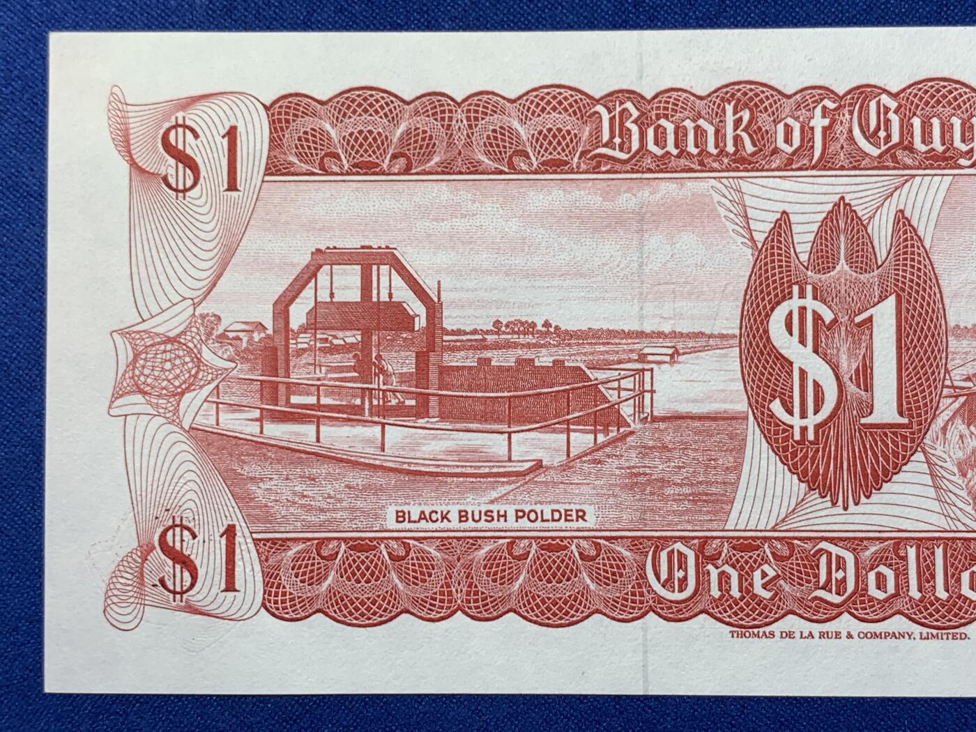 《竞宝斋》第274场- 周日，周一，周二  3场连拍 （全场包邮） 圭亚那1元纸币 老版